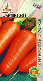 морковь Шантенэ 2461